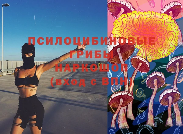 прущая мука Арсеньев