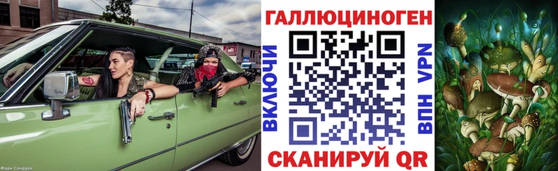 Галлюциногенные грибы Cubensis Судак