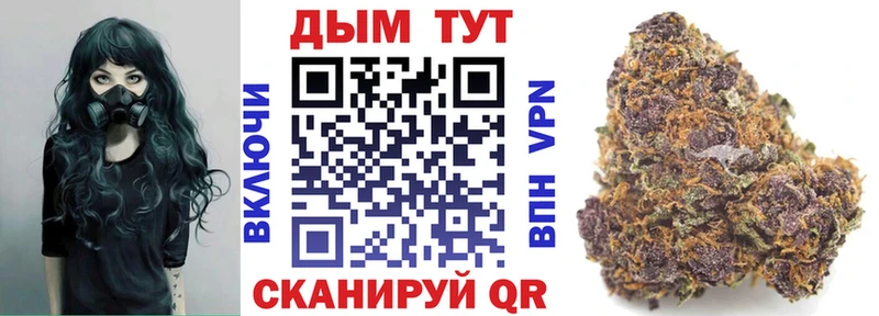 Каннабис гибрид  купить наркоту  Судак 